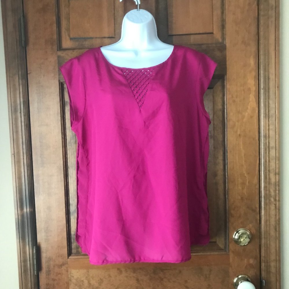 The Limited Fuchsia Capped Sleeve Pullover Blouse X-Large